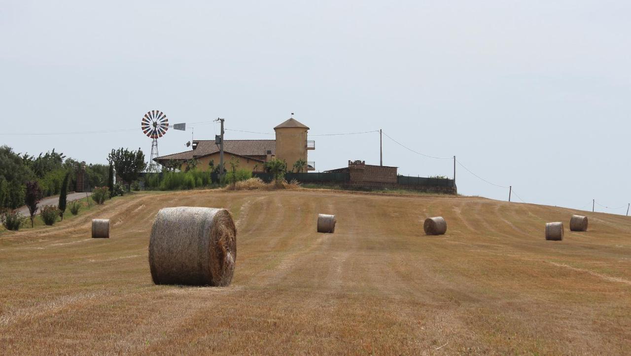 Il Granaio Del Pavone Villa Nepi Buitenkant foto